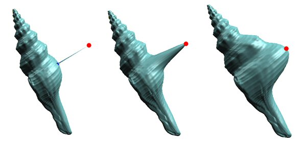 Impact of changing a point on a surface on its neighboring points.